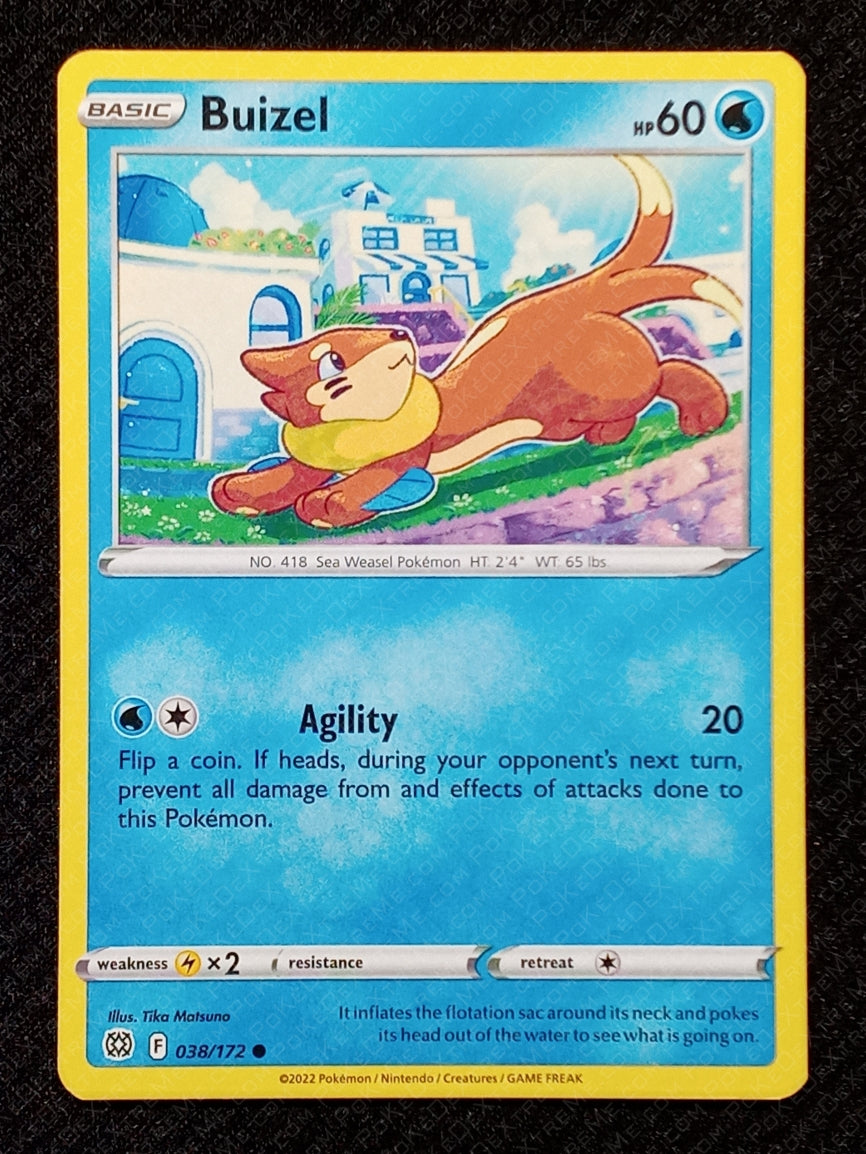 038/172 Buizel