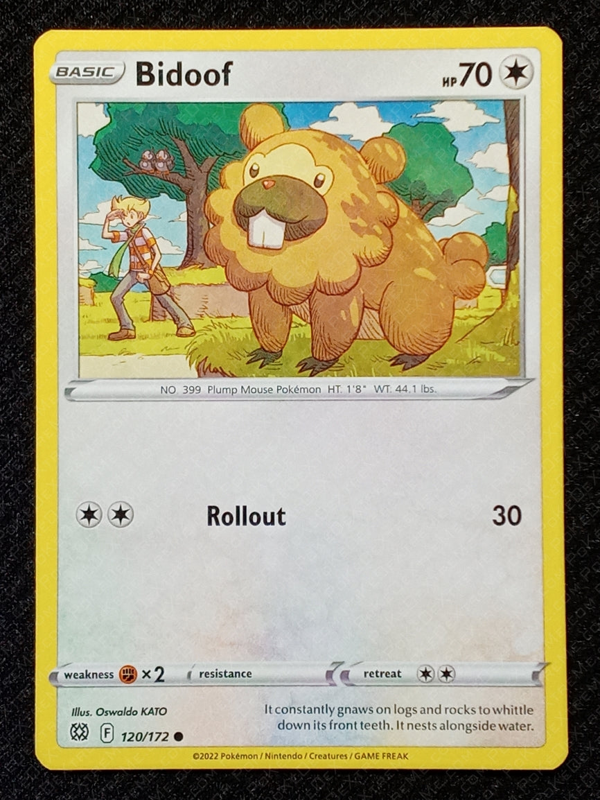 120/172 Bidoof
