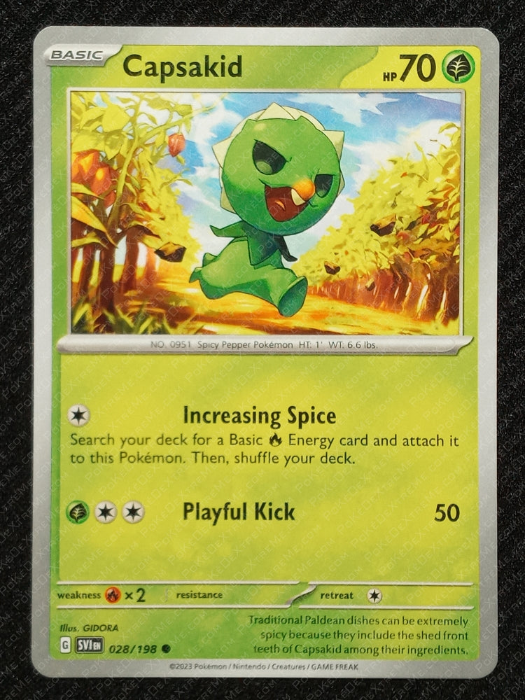028/198 Capsakid