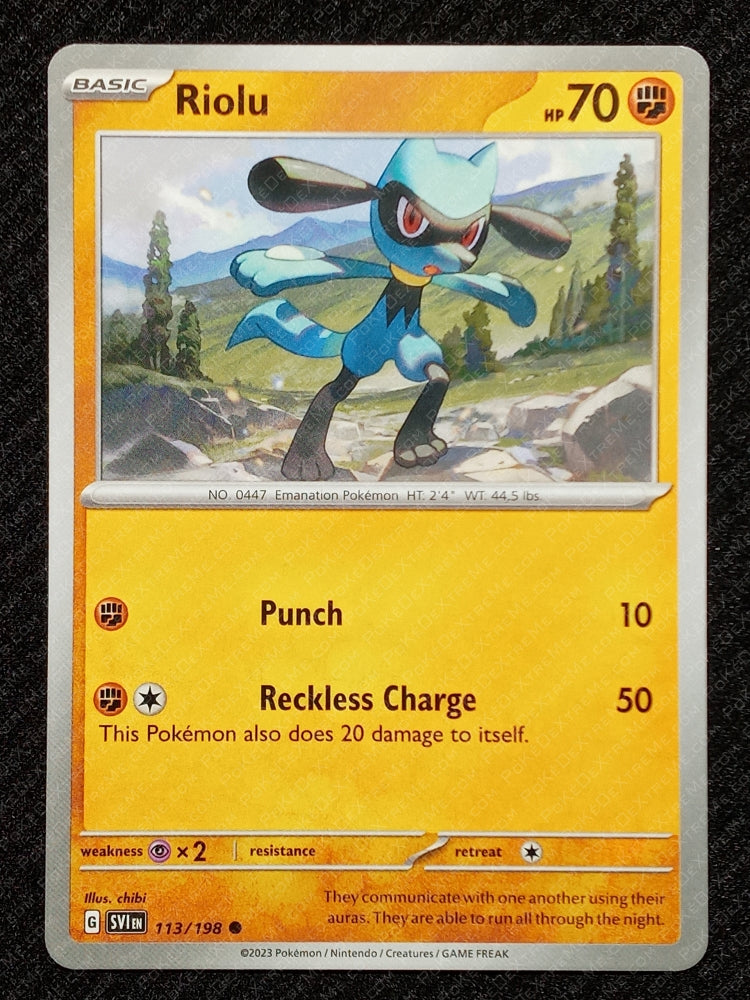 113/198 Riolu