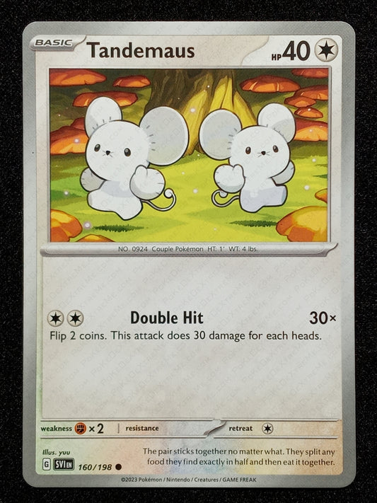 160/198 Tandemaus