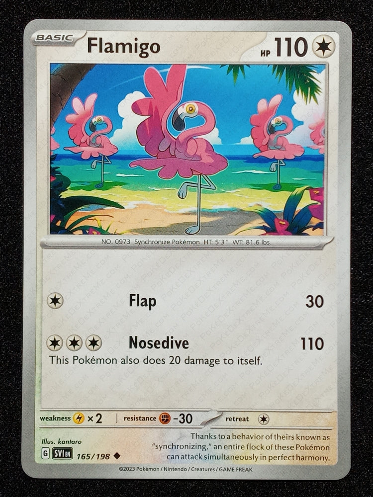 165/198 Flamigo