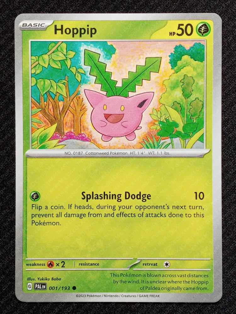 001/193 Hoppip