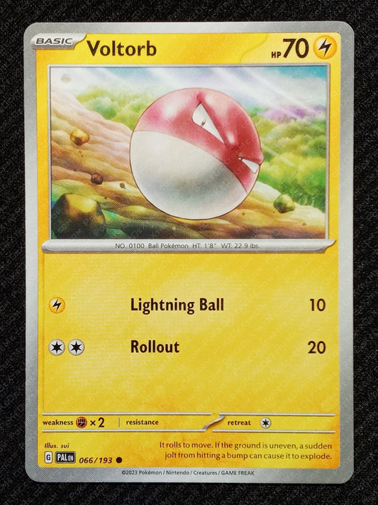 066/193 Voltorb
