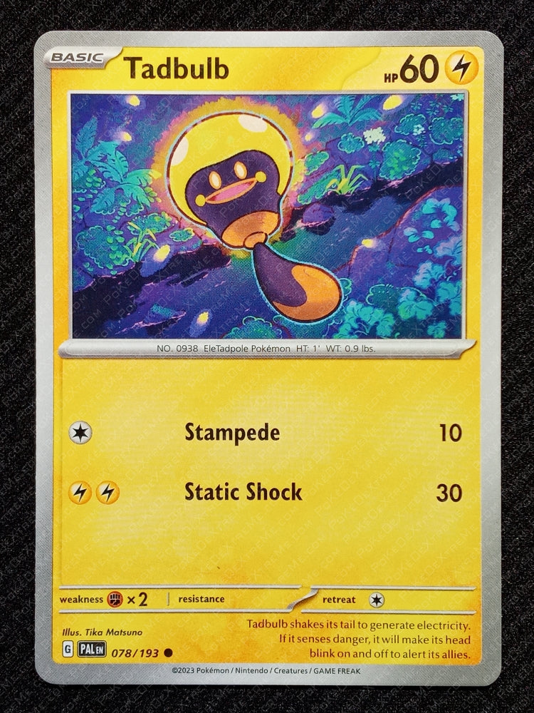 078/193 Tadbulb