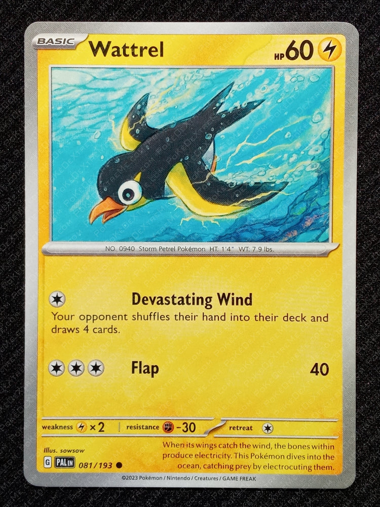 081/193 Wattrel