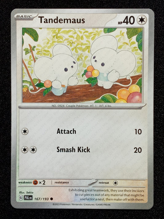167/193 Tandemaus