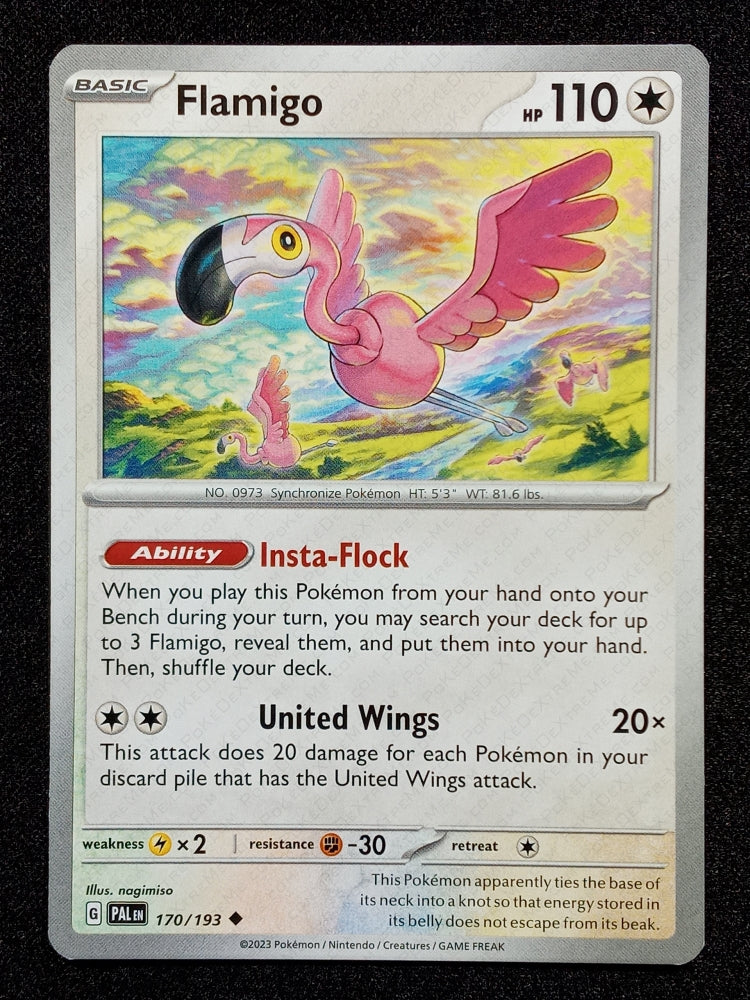 170/193 Flamigo