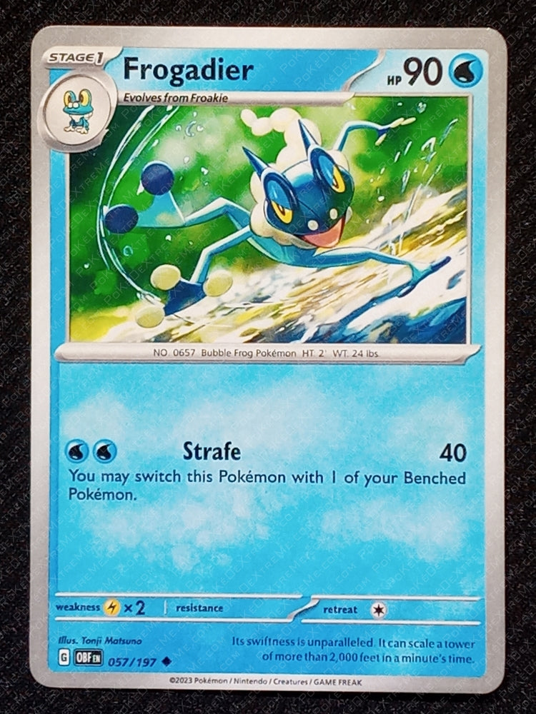057/197 Frogadier
