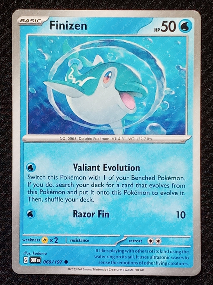 060/197 Finizen