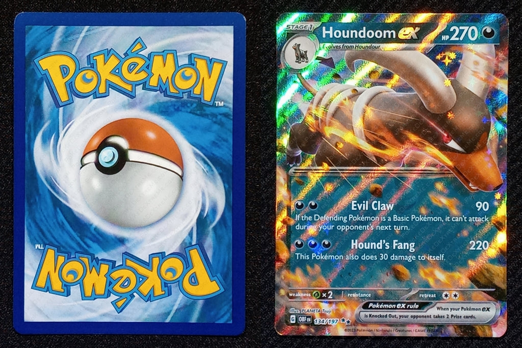 134/197 Houndoom EX {Full Art Holo}