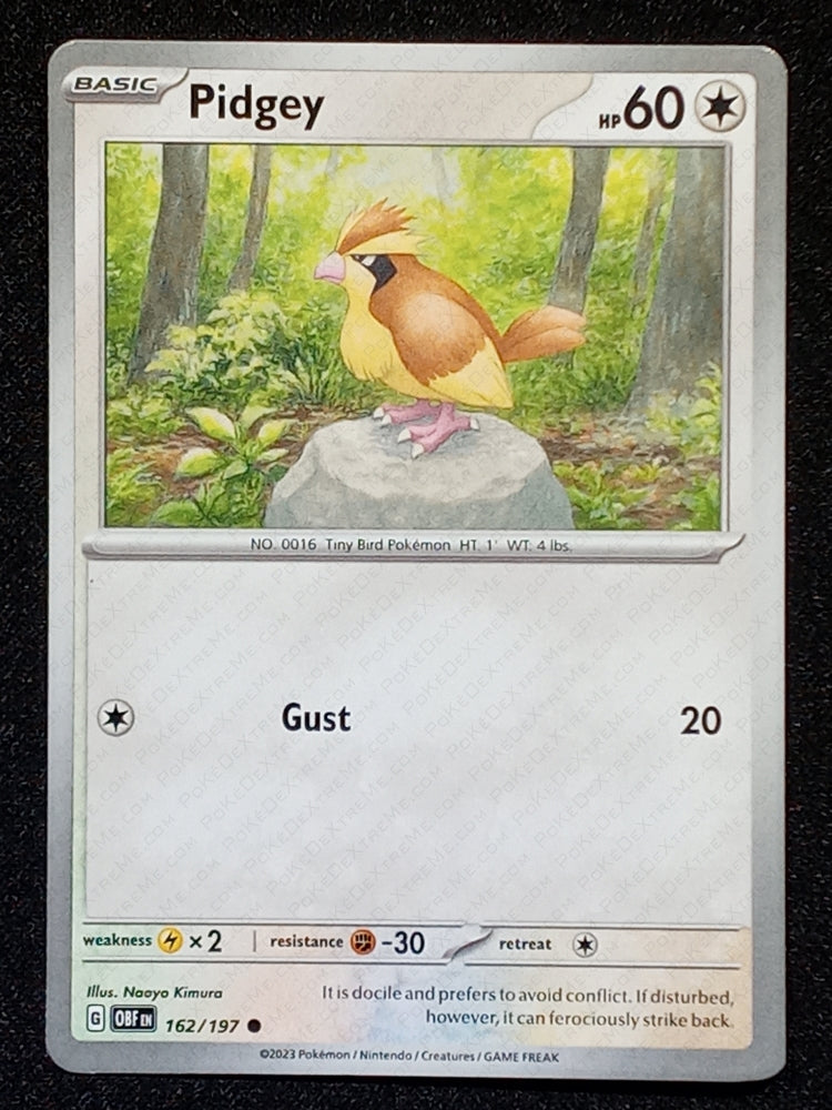162/197 Pidgey
