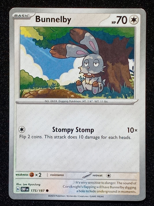 175/197 Bunnelby