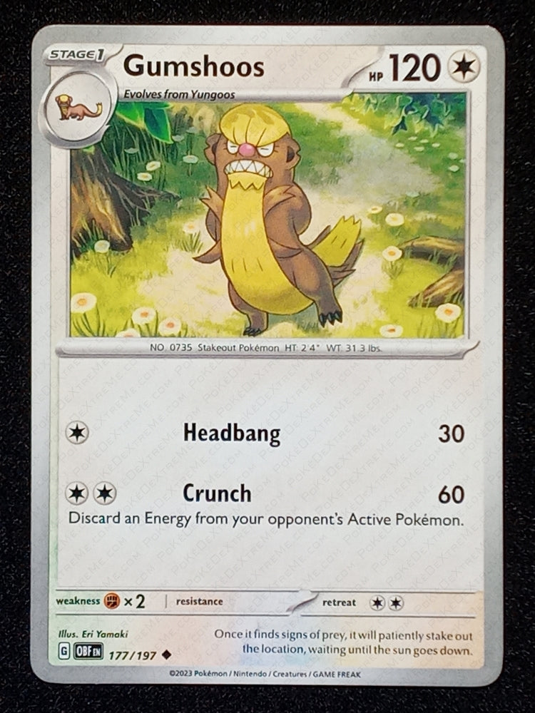177/197 Gumshoos
