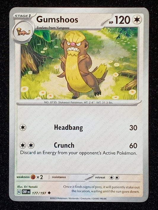 177/197 Gumshoos
