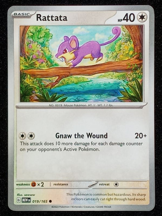 019/165 Rattata