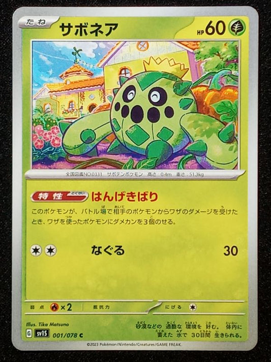 001/078 Cacnea