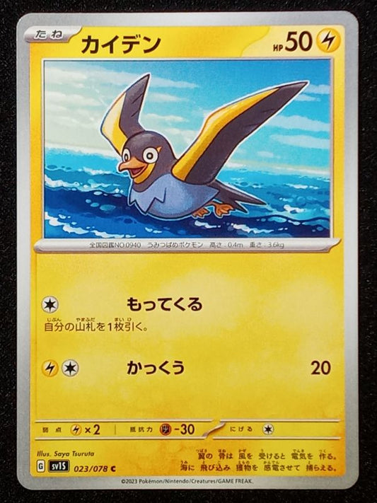 023/078 Wattrel