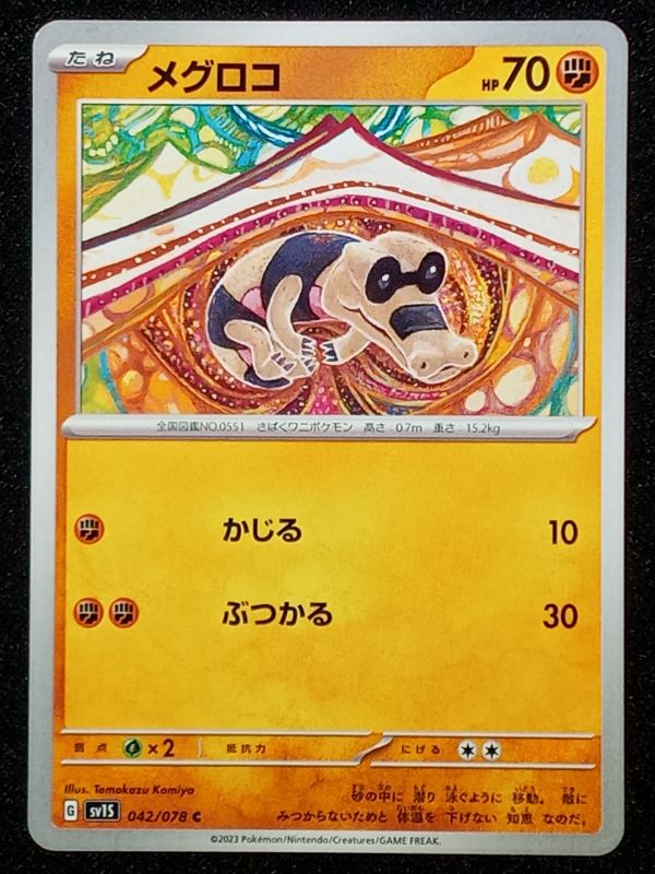 042/078 Sandile