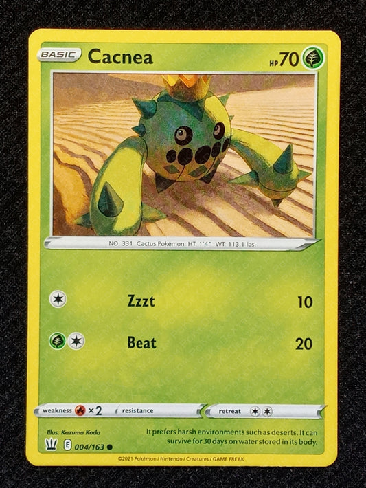 004/163 Cacnea
