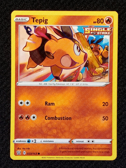 023/163 Tepig