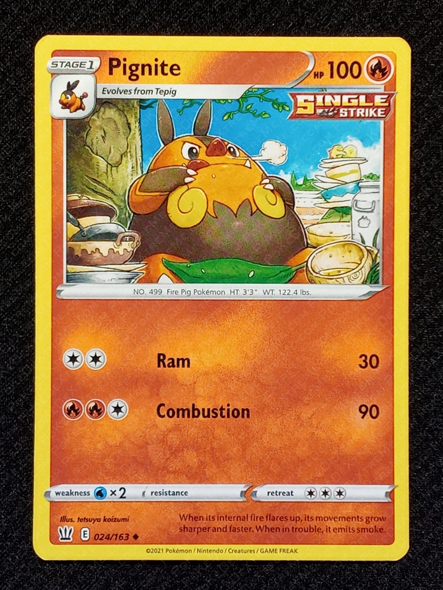 024/163 Pignite