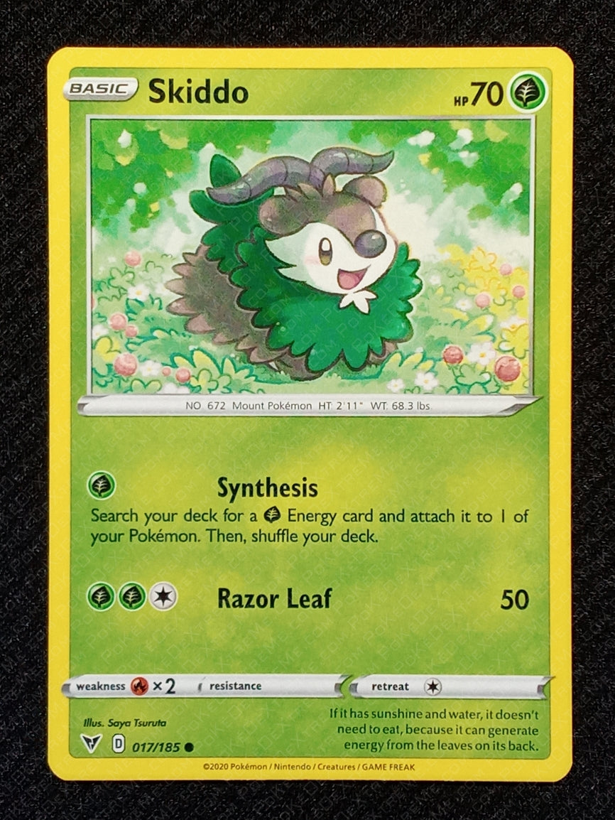 017/185 Skiddo