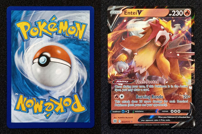 022/172 Entei V {Full Art Holo}