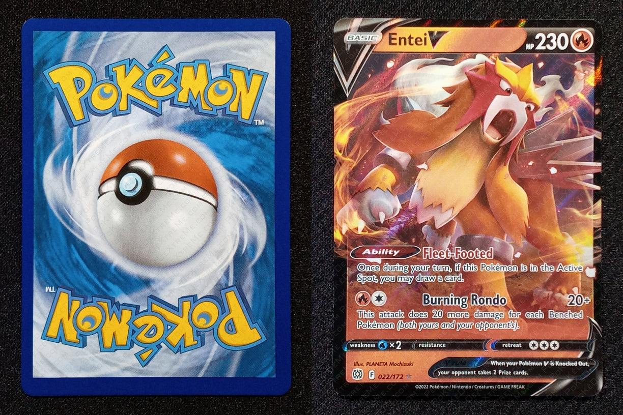 022/172 Entei V {Full Art Holo}