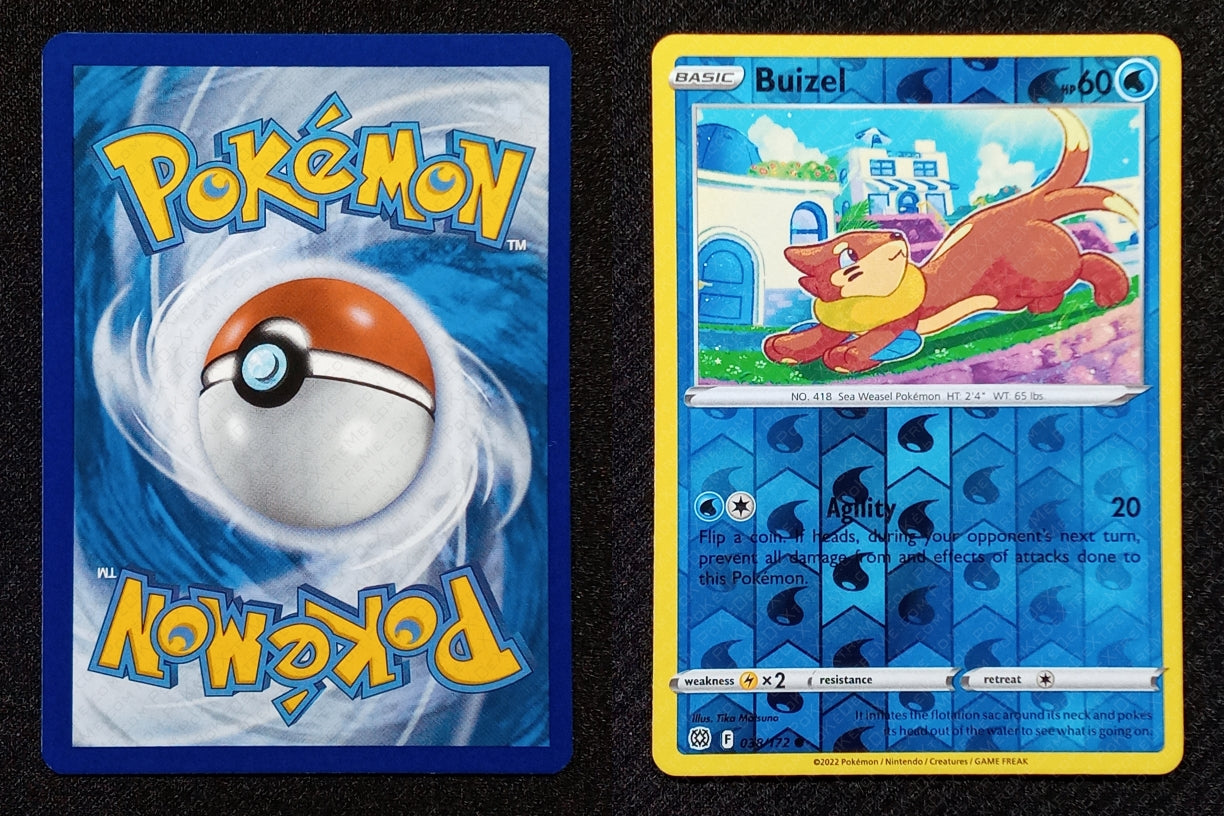 038/172 Buizel {Reverse Holo}