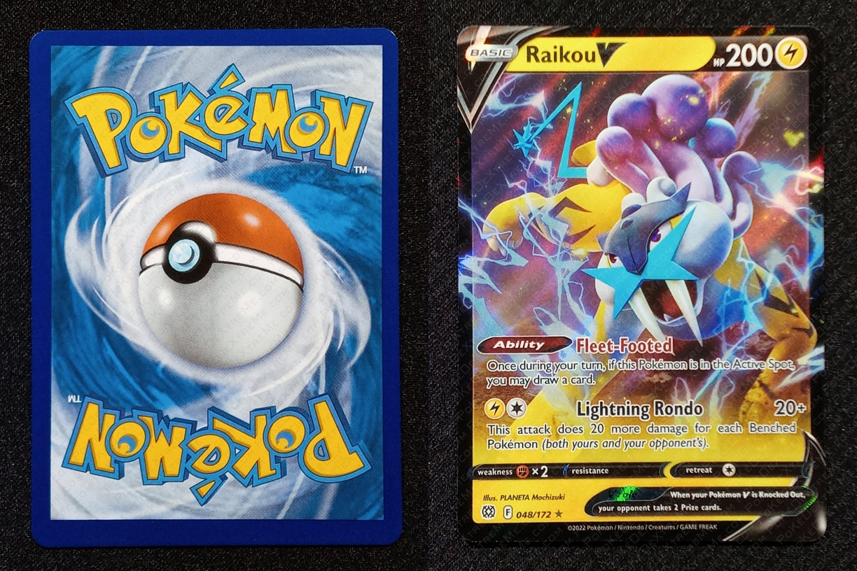048/172 Raikou V {Full Art Holo}