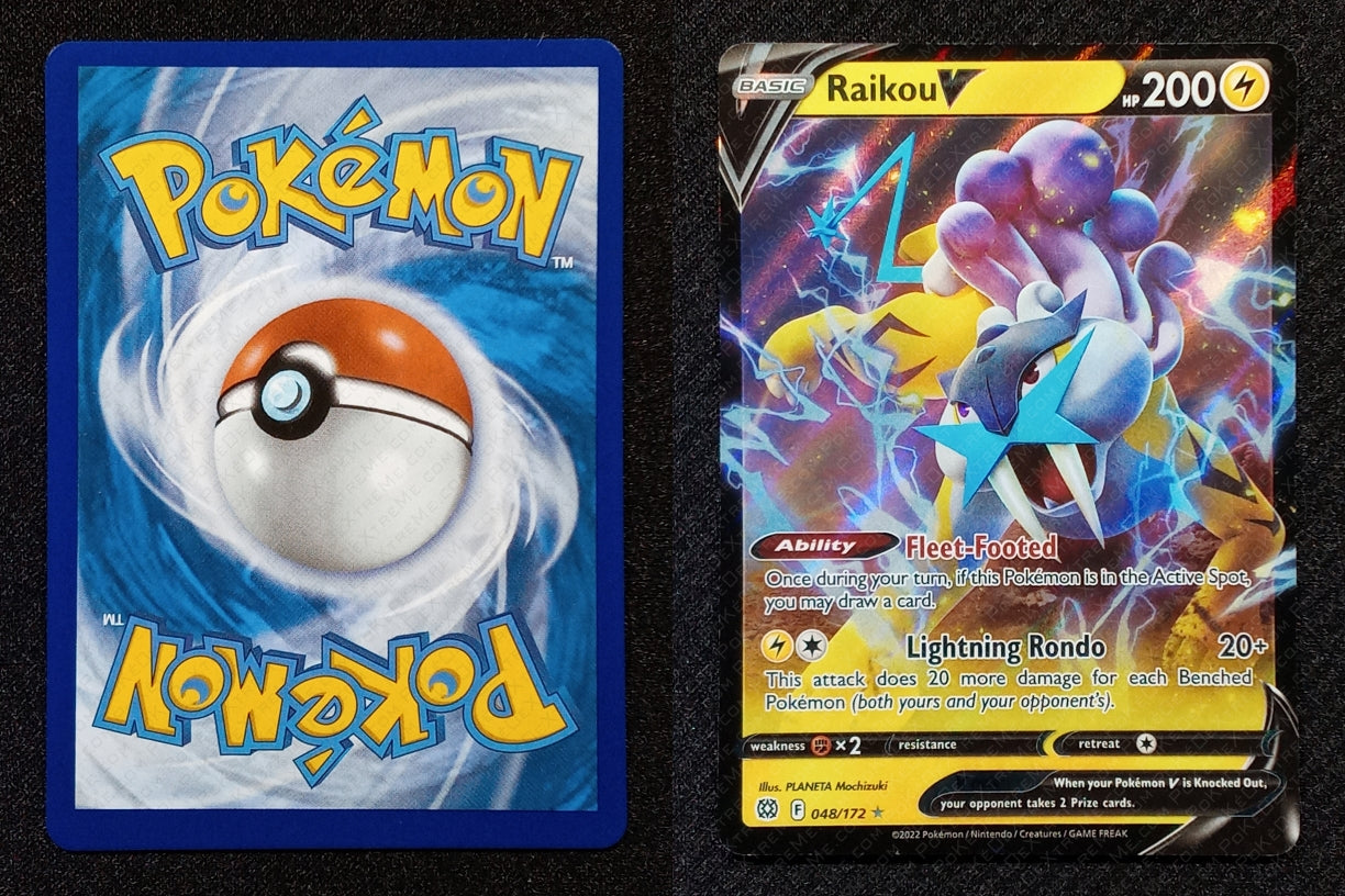 048/172 Raikou V {Full Art Holo}