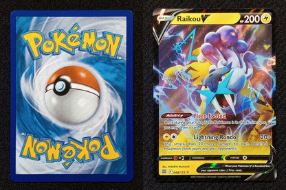 048/172 Raikou V {Full Art Holo}