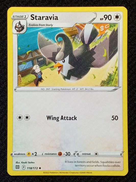 118/172 Staravia