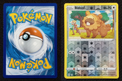 120/172 Bidoof {Reverse Holo}