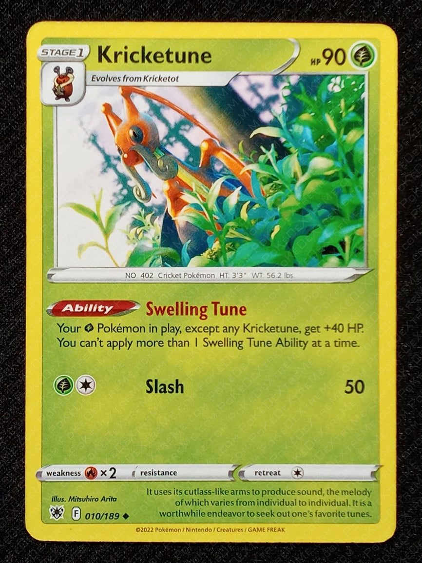 010/189 Kricketune