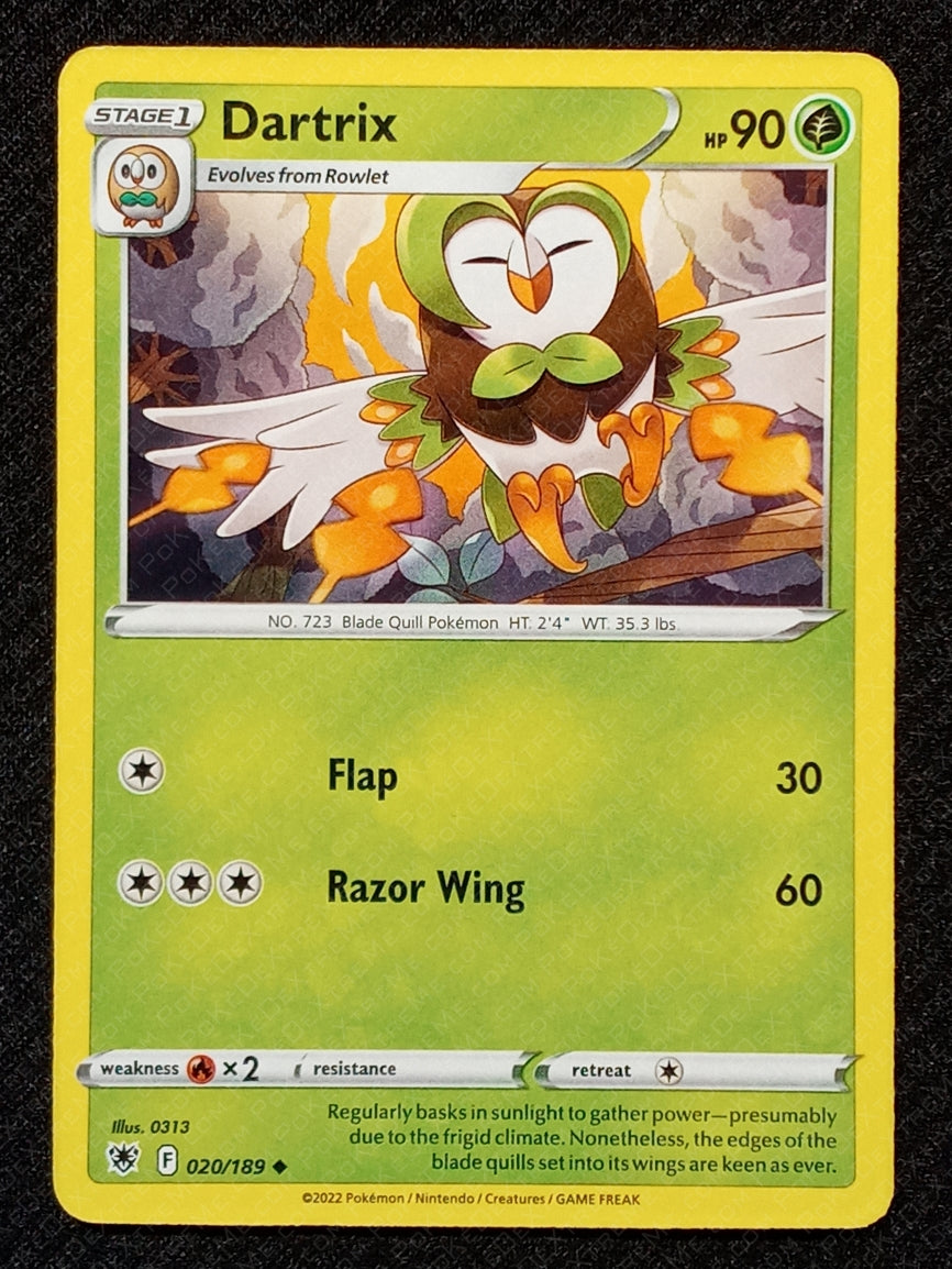 020/189 Dartrix