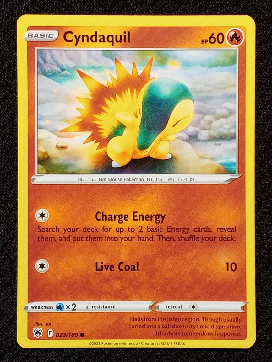 023/189 Cyndaquil