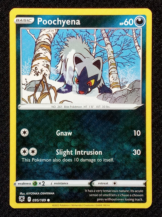 095/189 Poochyena
