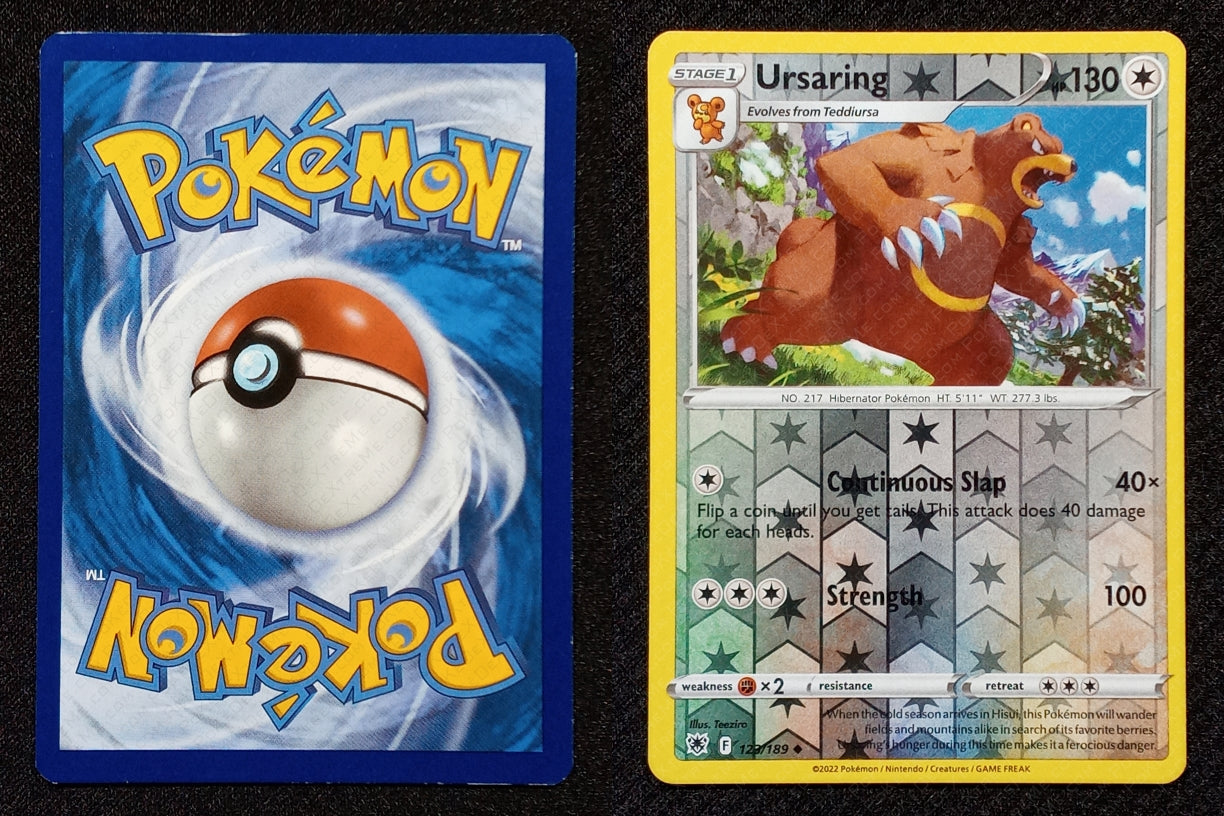 123/189 Ursaring {Reverse Holo}