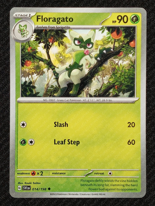014/198 Floragato