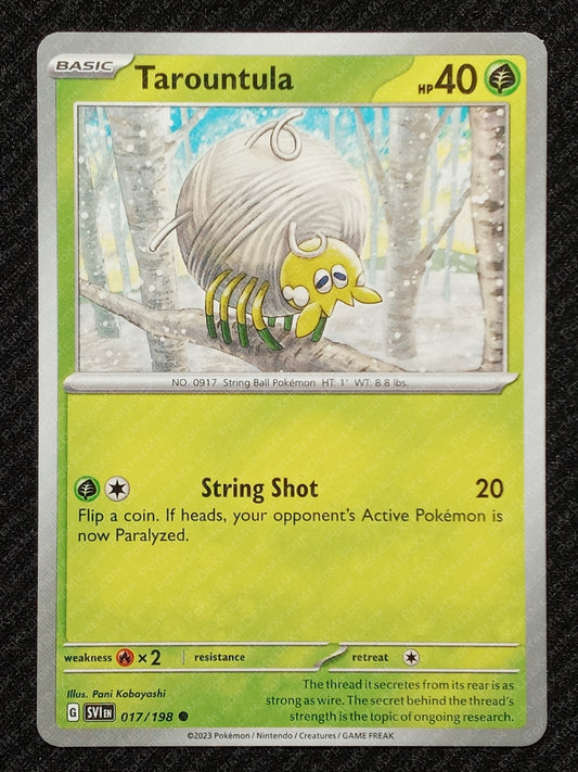 017/198 Tarountula