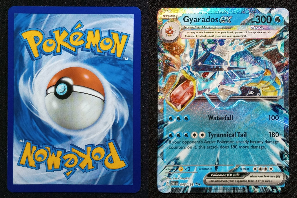 045/198 Gyarados EX {Full Art Holo}