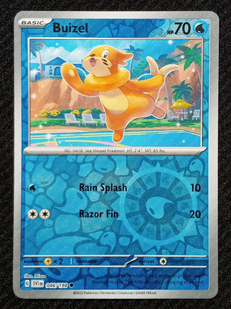 046/198 Buizel {Reverse Holo}