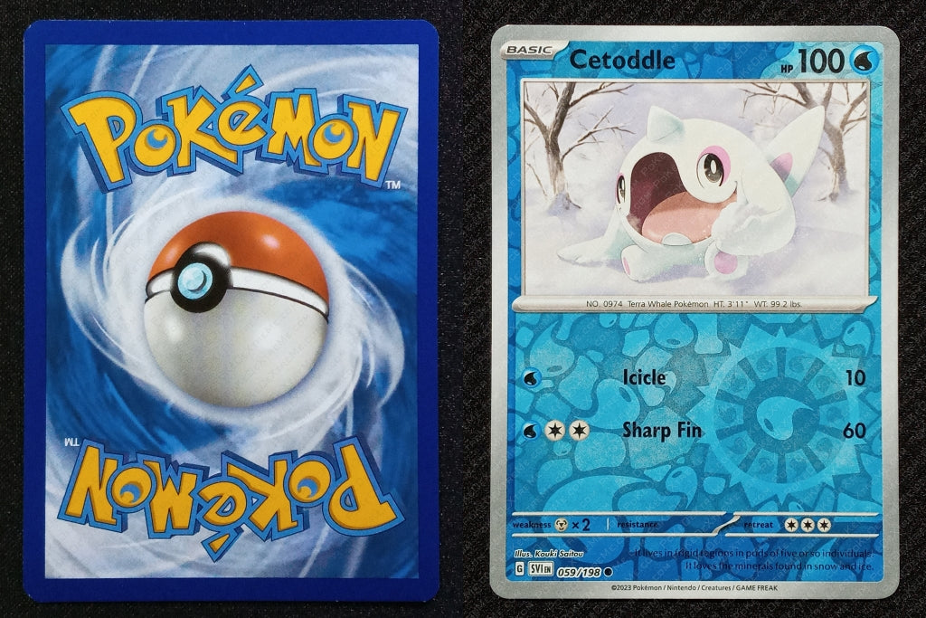 059/198 Cetoddle {Reverse Holo}
