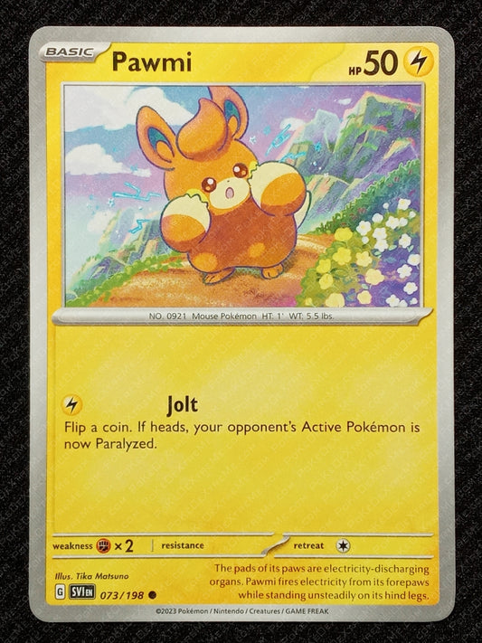 073/198 Pawmi