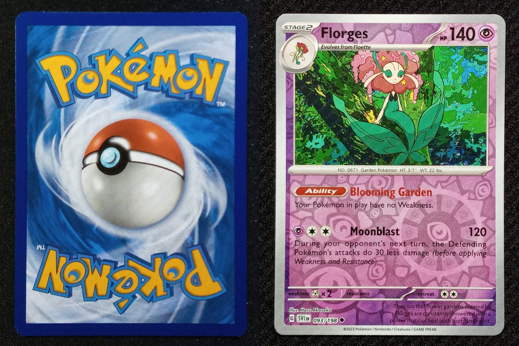 093/198 Florges {Reverse Holo}