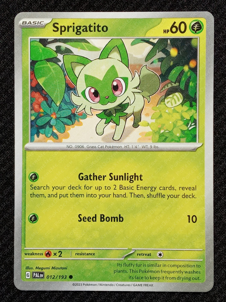 012/193 Sprigatito