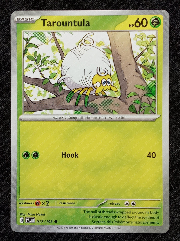 017/193 Tarountula