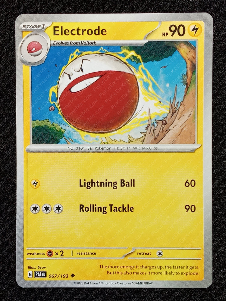 067/193 Electrode